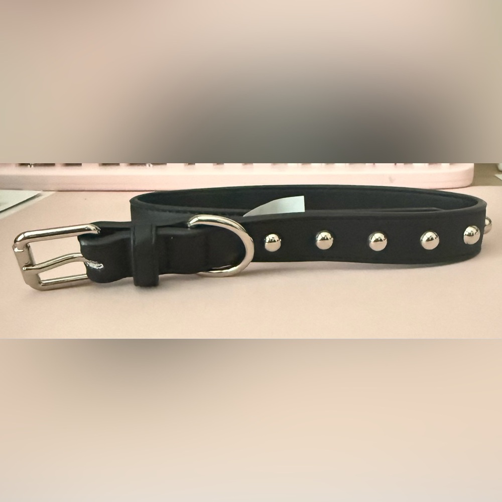 Vibrant Life Studded Dog Collar